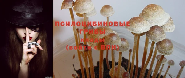 прущие крисы Пересвет