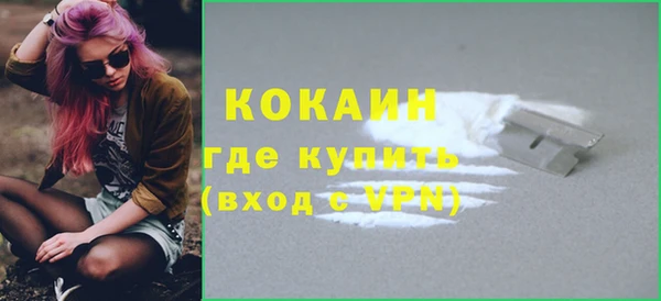дживик Пестово