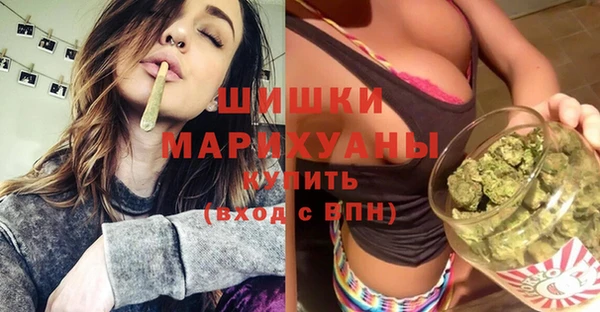 прущие крисы Пересвет