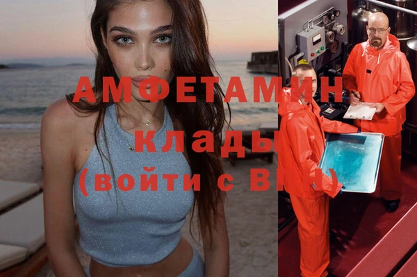 дживик Пестово