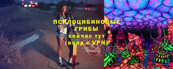 прущая мука Переславль-Залесский