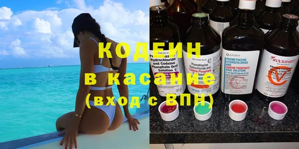 прущие крисы Пересвет