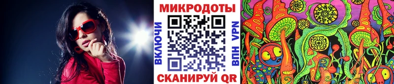 продажа наркотиков  Приволжск  Псилоцибиновые грибы прущие грибы 